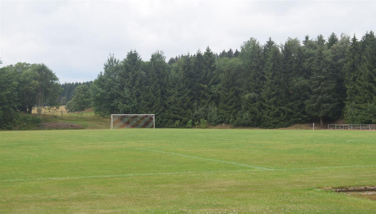SPOrtanlage mit Rasen- und Hartplatz, von-Langen-Strasse, 38700 Braunlage (Fussball)